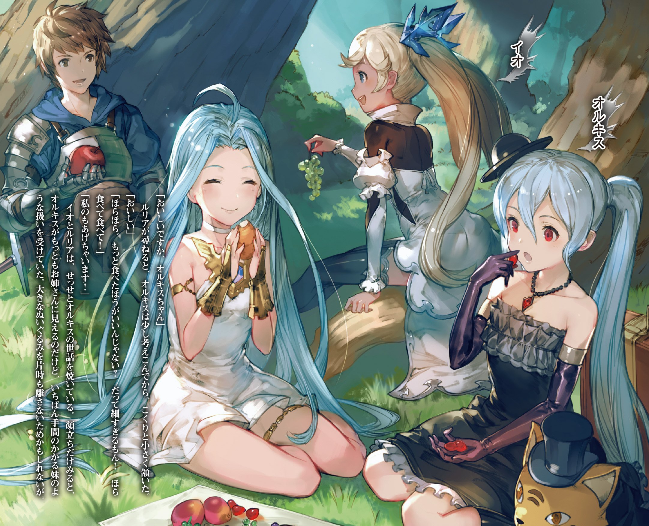 グランブルーファンタジー Iv ファミ通文庫 はせがわ みやび 原作 イラスト Cygames 本 通販 Amazon