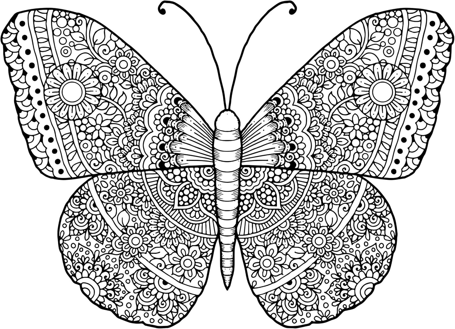 Paintings - Butterfly Adult Coloring, Stretched primed canvas to color, Size – 8 x 12 Inches |Premium Handmade Coloring Canvas | Art and Sip Party, DIY Kit, Party favor | Easy & fun drawings to color | Wall Art