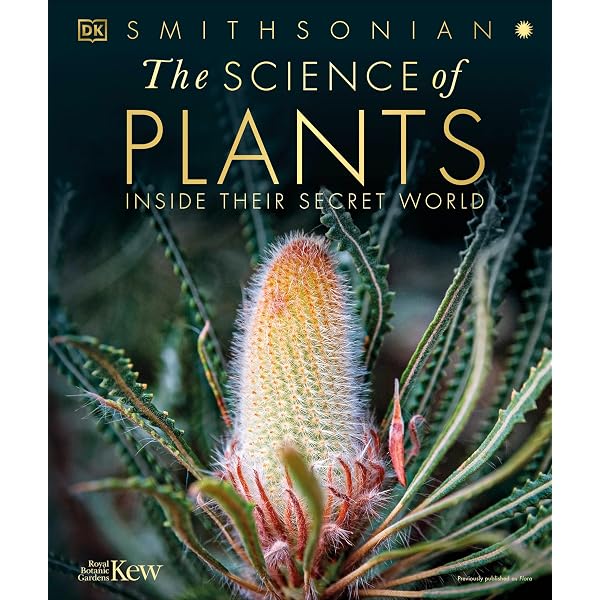 Micro Life: Miracles of the Miniature World Revealed (DK Secret