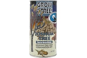 Joshua Tree | Seed Grow Kit | The Jonsteen Company