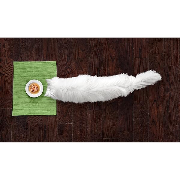 PURINA FANCY FEAST CLASSIC WITH TUNA SHRIMP & WHITEFISH CAT FOOD – 1.4 OZ. POUCH