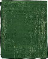 Cost Wise 3m x 3m Royal Green Waterproof Tarpaulin Tarp Garden Camping Car view 8
