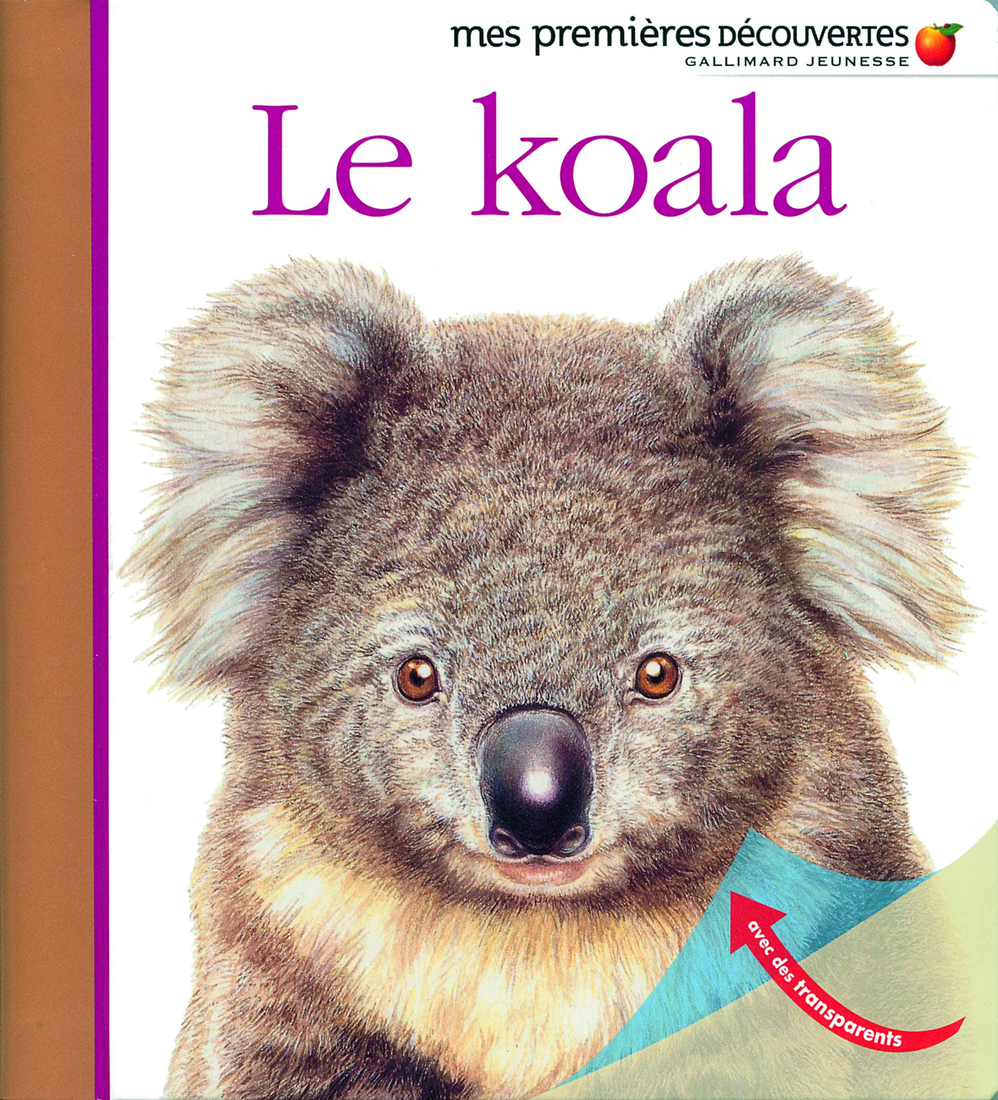 Amazon Fr Le Koala Mes Premieres Decouvertes De 2 A 5 Ans Collectif Fuhr Ute Livres