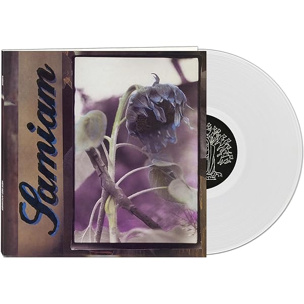 Amazon.com: Washed Out Vinyl, Within And Without: CDs & Vinyl