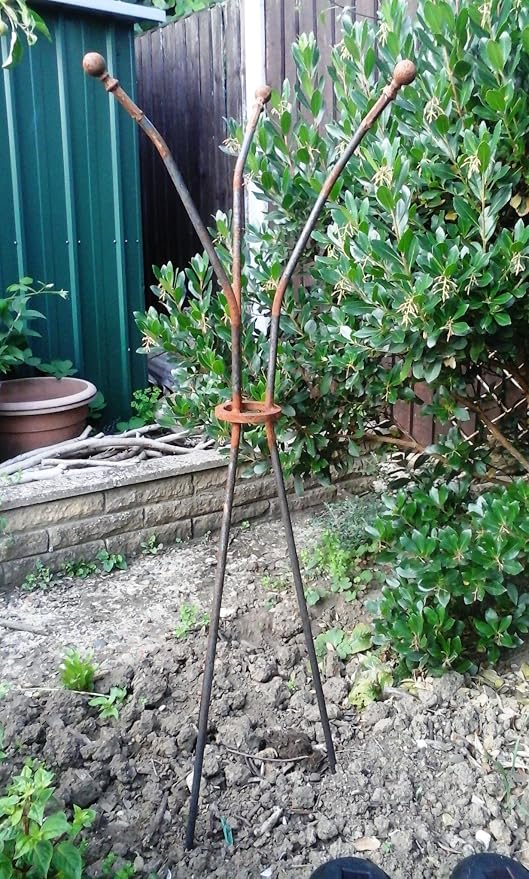 Soporte para plantas trepadoras oxidación hierro jardín obelisco ...
