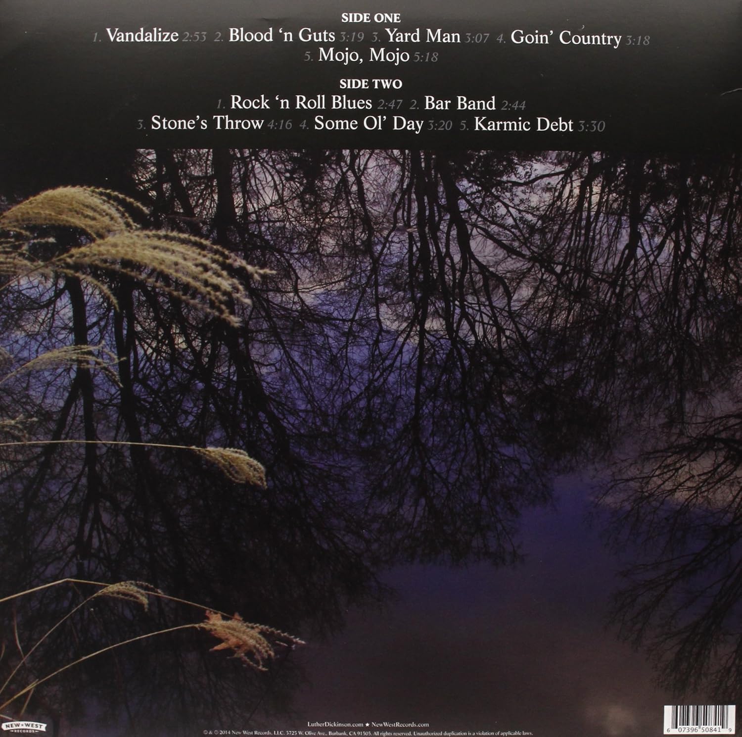 Dickinson Luther Rock N Roll Blues Amazon Com Music