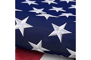 DANF FLAG American Flag 5x8 ft: Long Lasting US Flag, Heavy Duty Nylon, Embroidered Stars, Sewn Stripes, Brass Grommets, UV Protection Perfect for Outdoors! USA Flag