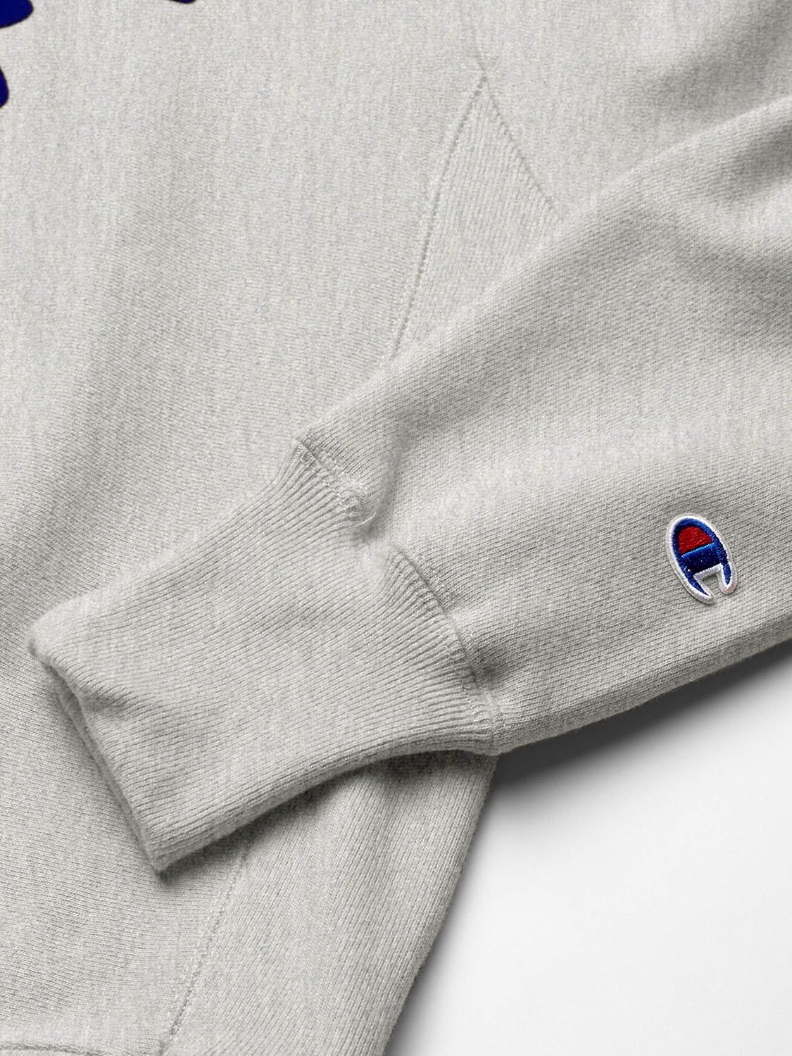 Champion LIFE Men's Reverse Weave Crew-Oversized Flock Script: Clothing