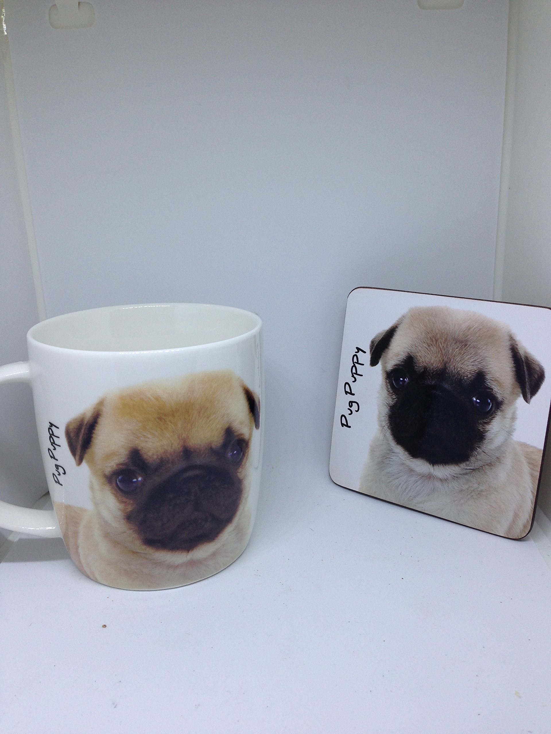 Pug Puppy Mug and coaster set
