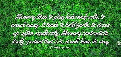 Amazoncom Gunter Grass Famous Quotes Laminated Poster