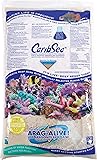CaribSea Arag-Alive 20-Pound Special Grade Reef