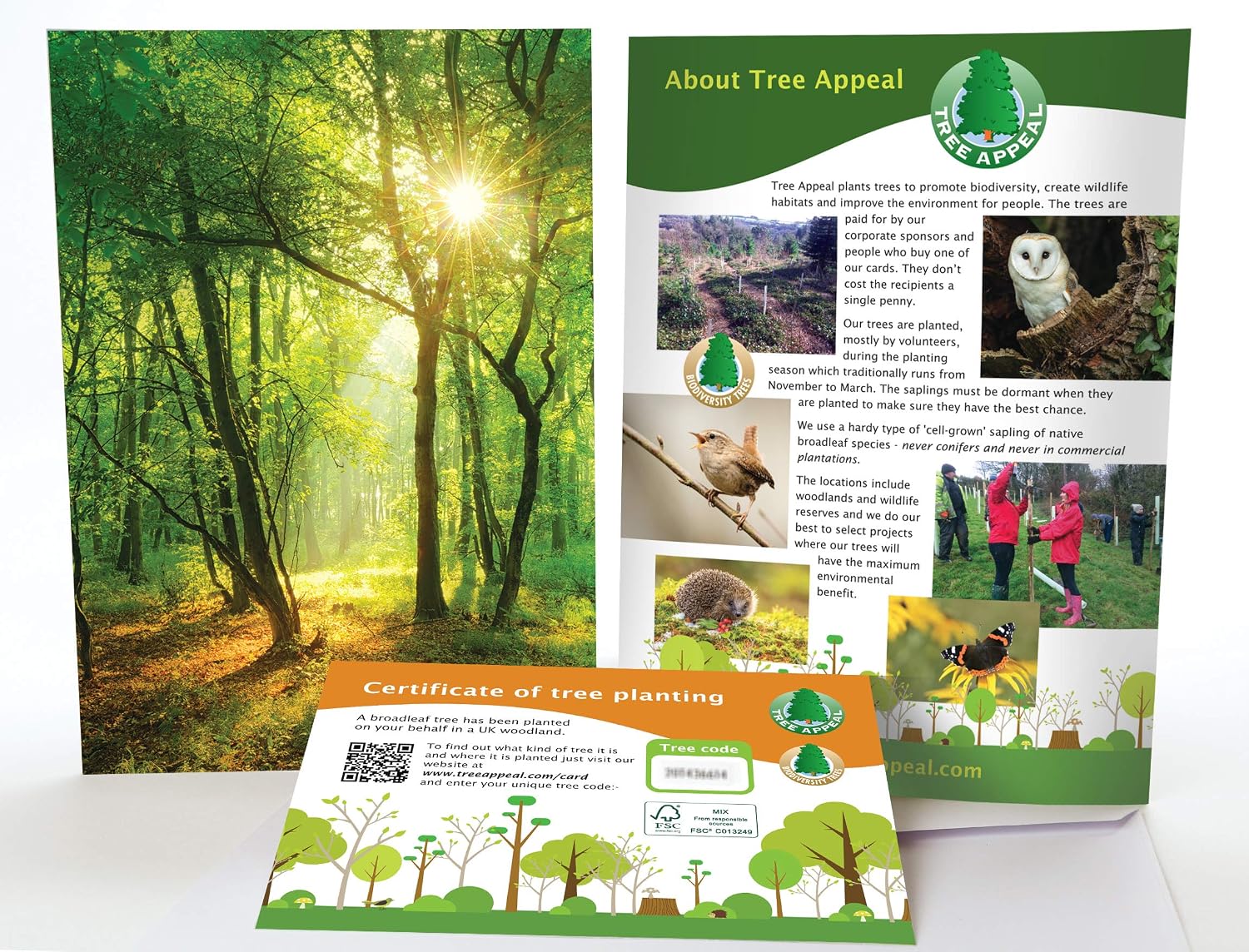 This Card Plants A Woodland Tree, yellow|black|white|green, A6 (14.9cm x 21cm) - Image 3
