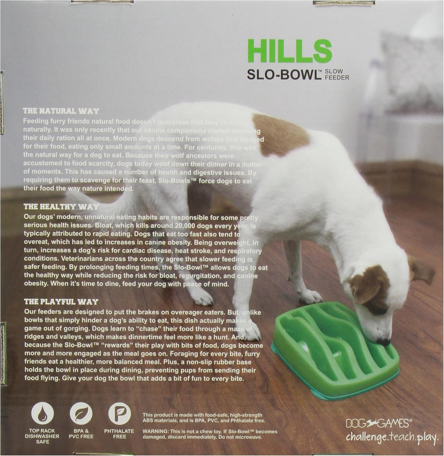 Amazon Com Outward Hound Kyjen 2874 Slo Bowl Slow Feeder Slow