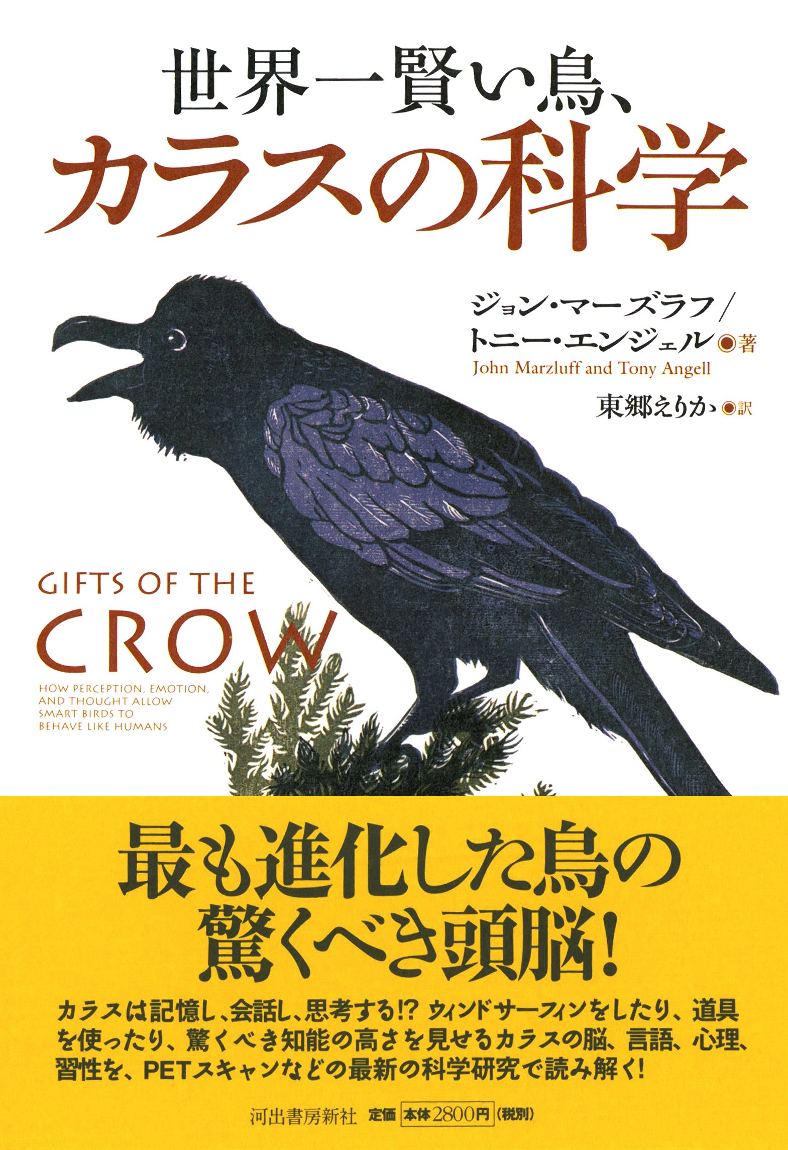 世界一賢い鳥 カラスの科学 ジョン マーズラフ トニー エンジェル 東郷 えりか 本 通販 Amazon 世界一賢い鳥 カラスの科学 ジョン マーズラフ トニー エンジェル 東郷 えりか 本 通販 Amazon