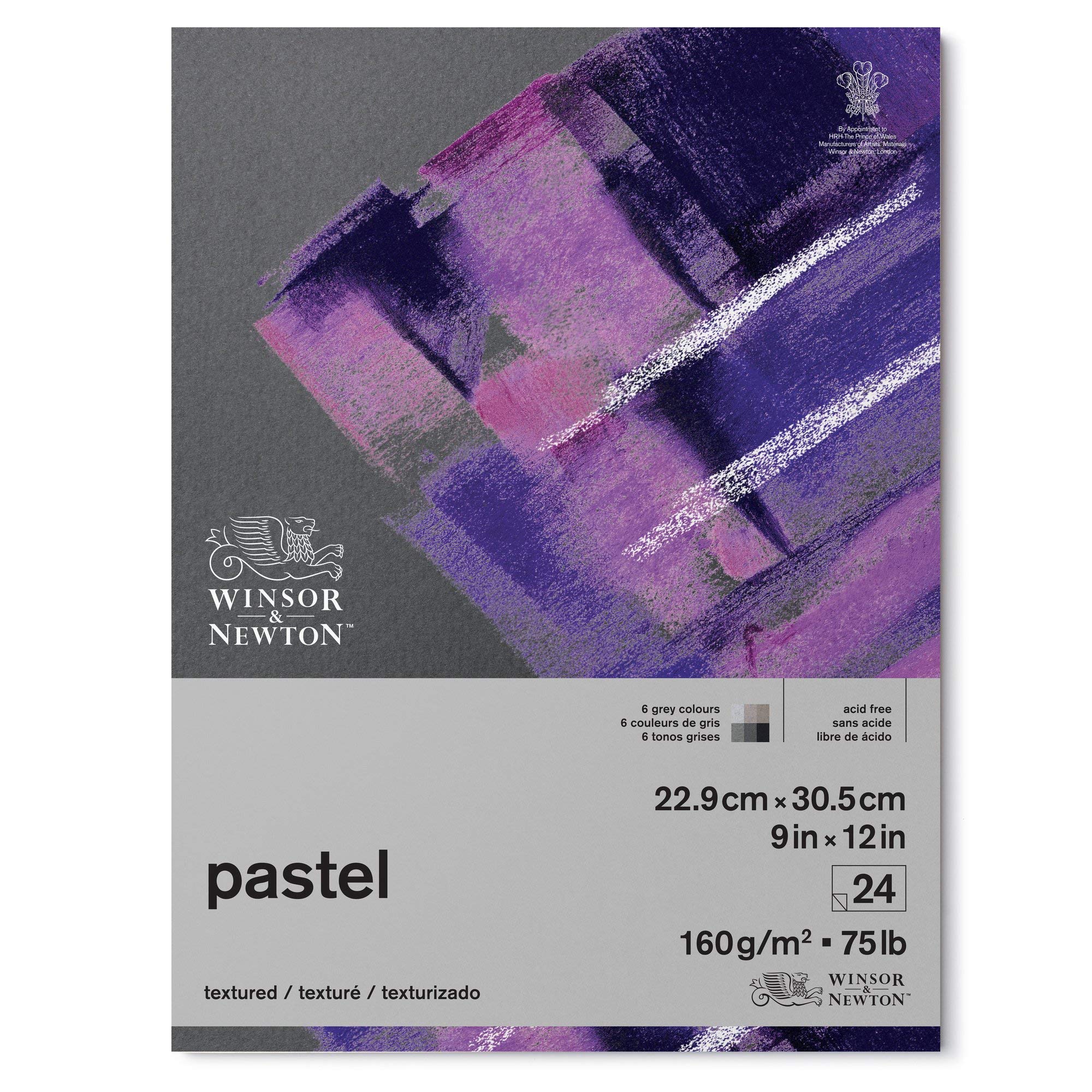 Winsor & Newton Pastel Paper, Grey Tones, 22,9 x 30,5 cm-24 Blatt Pastellpapier-Grautöne