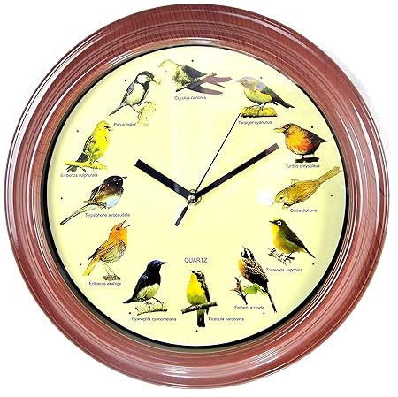 Wanduhr Singvögel Singende Vogeluhr Singvögeluhr Wanduhr mit 12 Vögel Natur