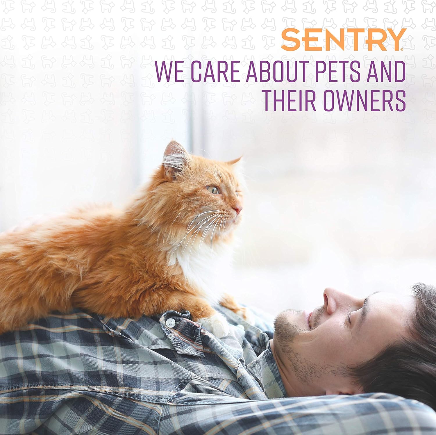 Sentry Behavior and Calming Collar for Cats, 1Ct : Pet Supplies