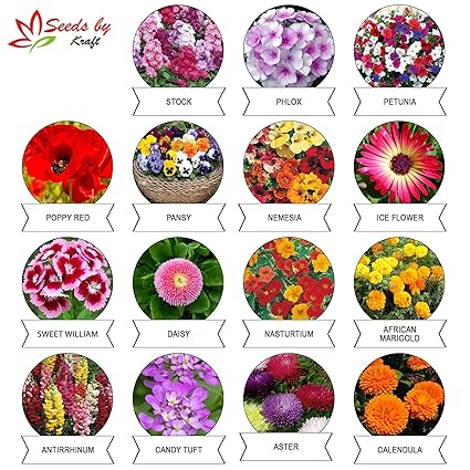 Kraft Seeds 15 Varieties of Flower Seeds Heirloom Seed For Your Garden Beautiful Bloom This Season Genuine High Germination Seeds