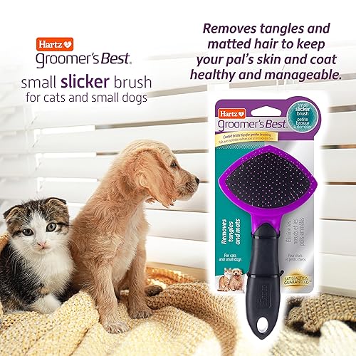 Hartz Groomer's Best Small Slicker Brush for Cats and Small Dogs