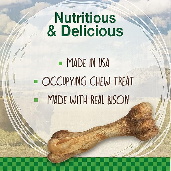 NYLABONE HEALTHY EDIBLES WILD NATURAL LONG LASTING CHEWS, BONE CHEW TREATS FOR DOGS, BISON FLAVOR, LARGE (1 COUNT)