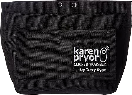 terry ryan dog trainer