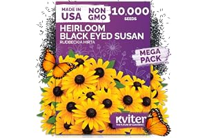 10,000 Black Eyed Susan Heirloom Flower Seeds for Planting, Rudbeckia Hirta | Gloriosa Daisy Wildflower Seeds, Flower Seeds f
