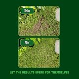 Envii Patch Repair Grass Seed Mix 400g Treats Up to 50 Patches UK Climate view 5