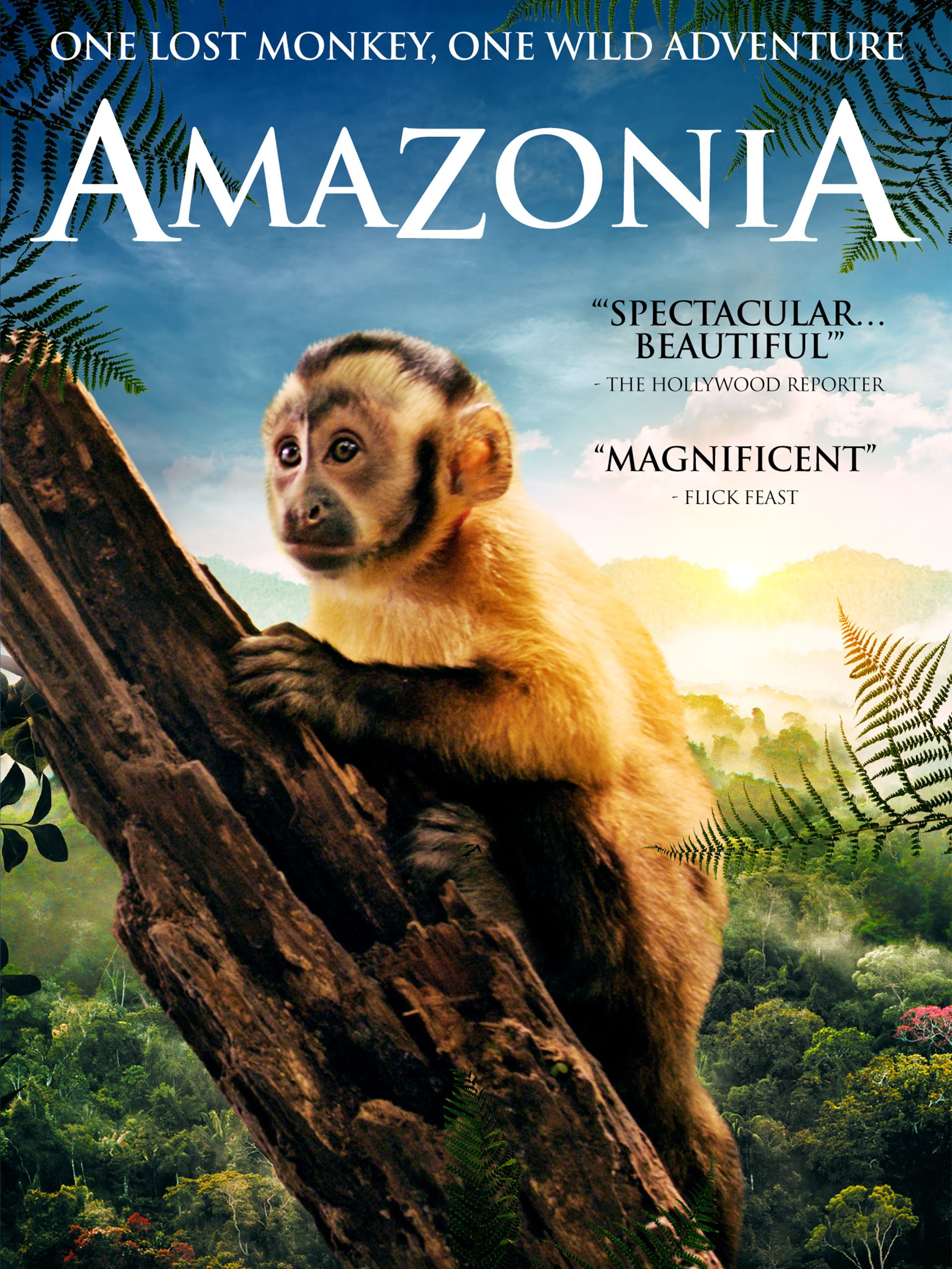 Watch Amazonia Prime Video