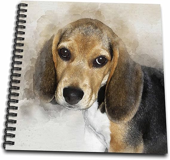 Amazon Com 3d Rose Adorable Beagle Puppy Watercolor Drawing Book Arts Crafts Sewing