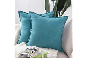 MADIZZ Set of 2 Short Chenille Throw Pillow Covers 18x18 Inch Pale Blue Soft Decorative Cushion Cover for Sofa Bedroom Pillow
