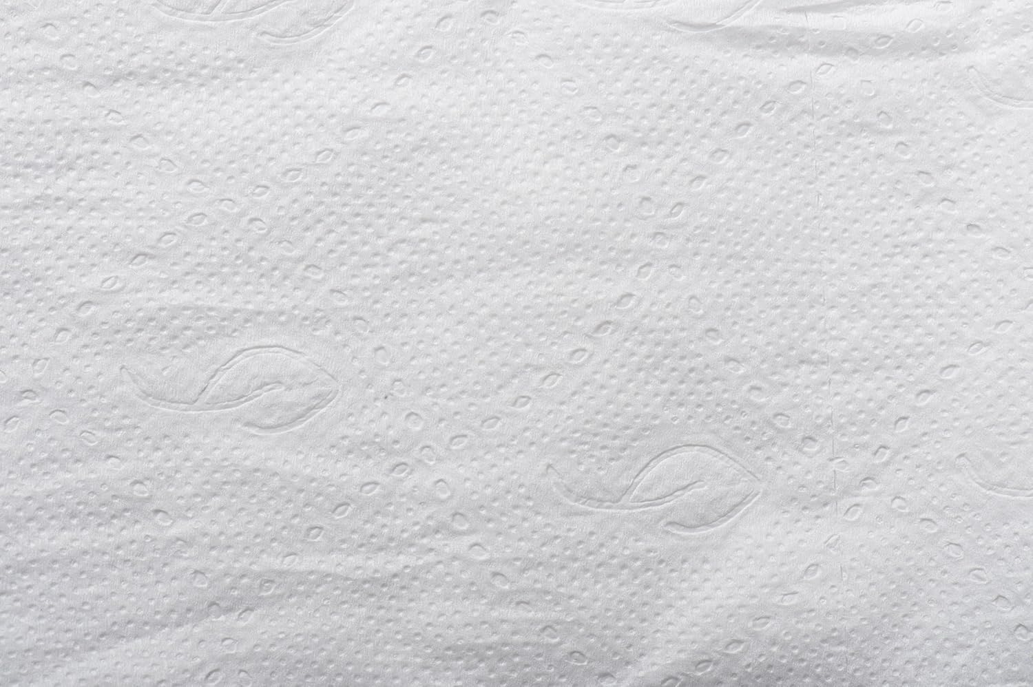 Livi Solaris Paper Two-ply Bath Bathroom Tissue, 4.06" x 3.66", White 96 per Carton: Industrial & Scientific
