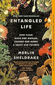 kindle best category lists