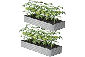 zunatu 10x2x1ft(2 Pack) Galvanized Raised Garden Bed,Outdoor Planter Box Metal Patio Kit Planting Bed for Vegetables Flowers and Succulents,Silver