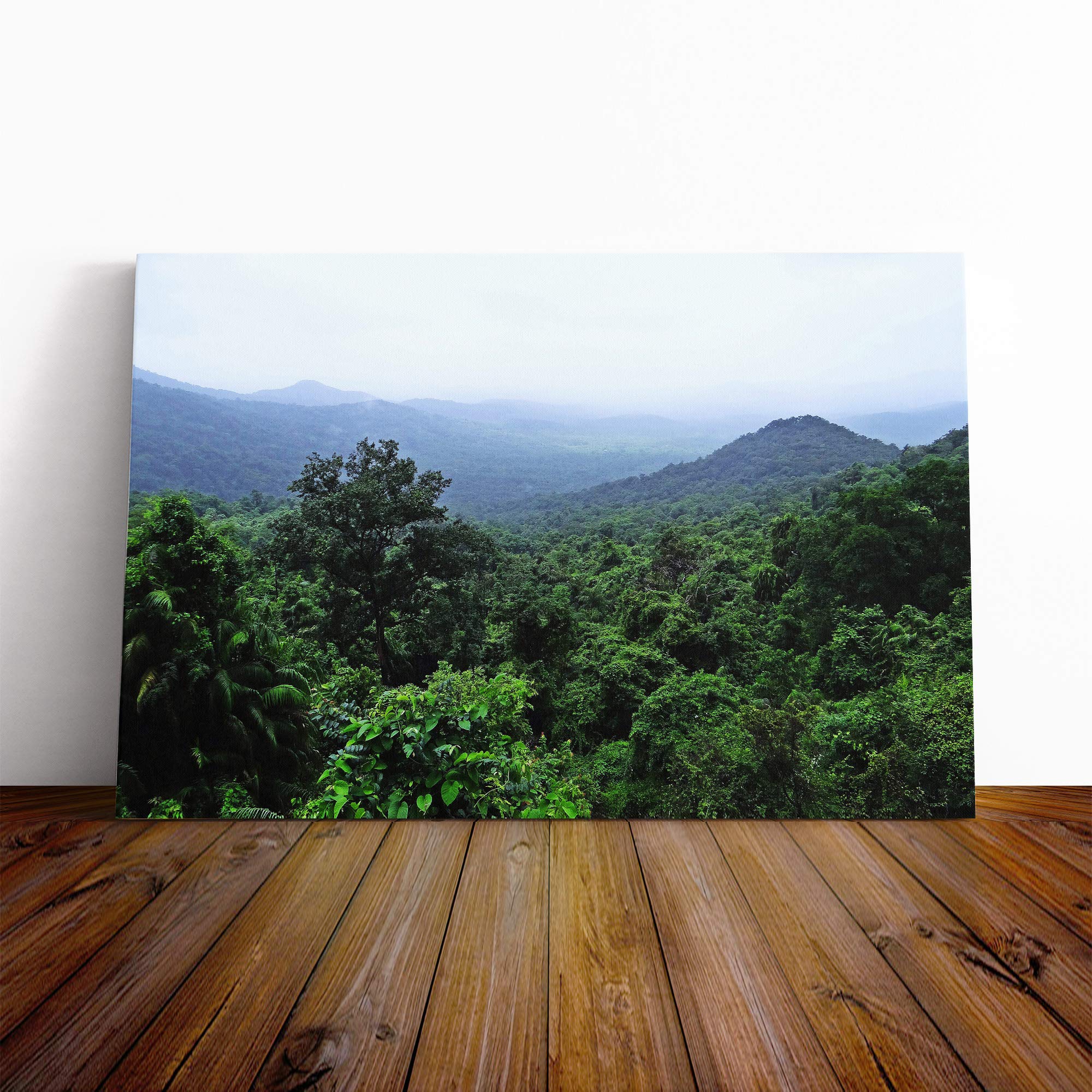 Landscape Jungle Rainforest (1) Canvas Print | Gallery Wrapped 30mm Frame Wall Art | 20x14 inches | Ready to Hang | Modern Landscape Picture | Living Room Bedroom Lounge Office