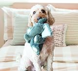 KONG Comfort Kiddos Lion Plush Dog Toy with Removable Squeaker for Large Dogs view 2