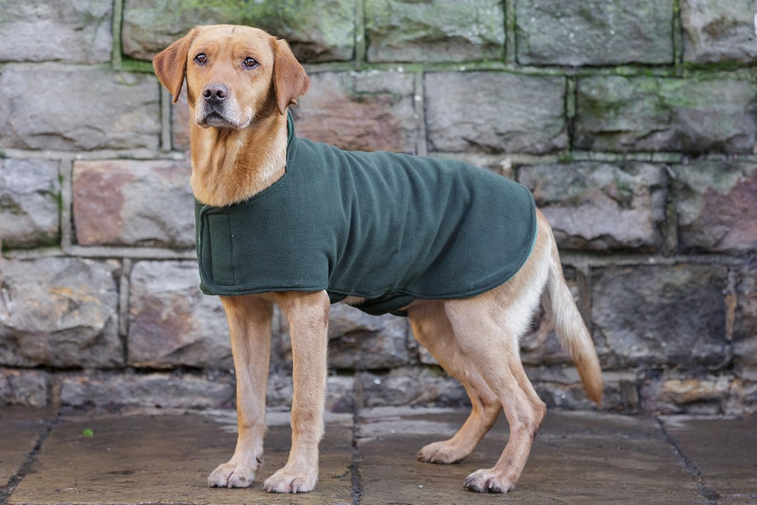 Dog & FieldTM Duel Layer Towelling Dog Coat (Olive Green) Microfiber