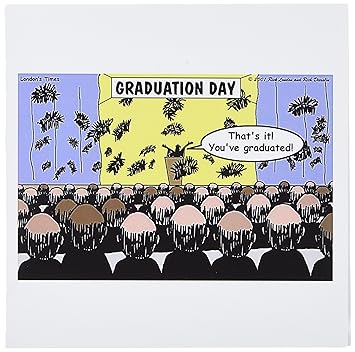 3drose Graduation Day At The Hair Club For Men Greeting Cards 6