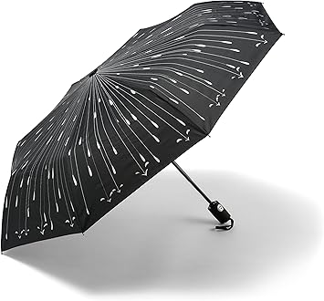parapluie lamarthe