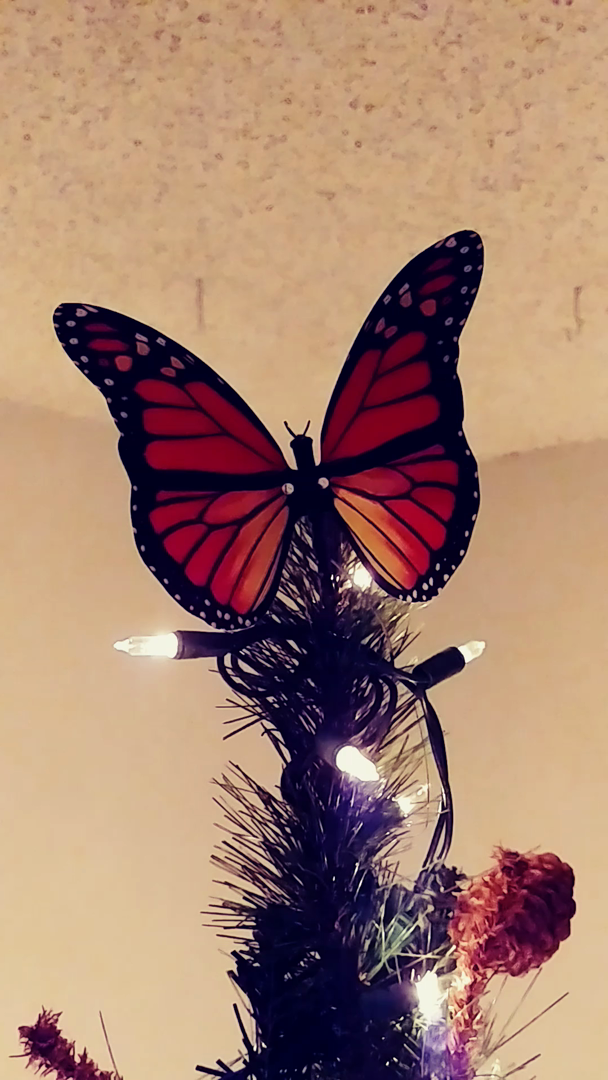 Customer reviews Active Aliforms Monarch Moving Butterfly