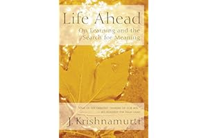 Life Ahead: On Learning and the Search for Meaning