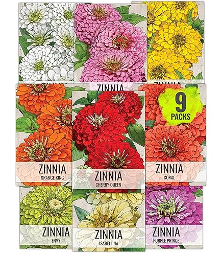 Amazon.com : Seed Needs, Yellow Isabellina Zinnia Seeds - 250