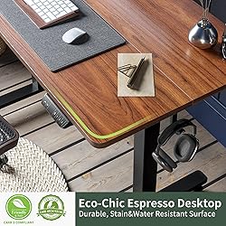 FEZIBO Electric Standing Desk, 40 x 24 Inches