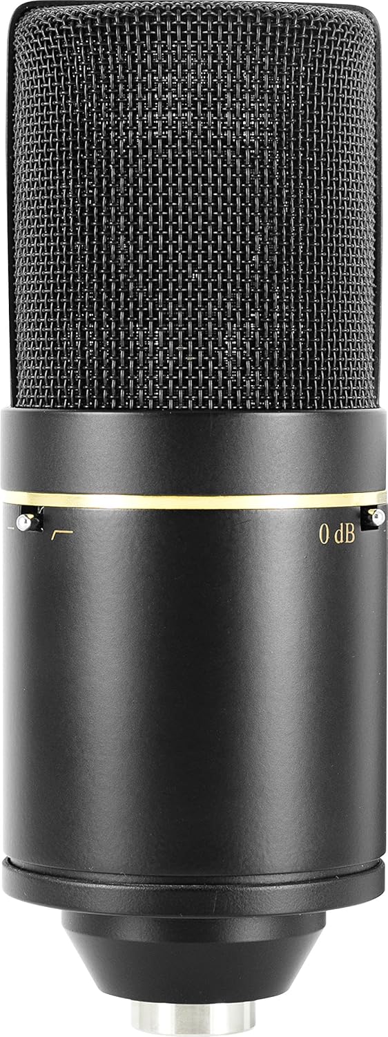 MXL Mics 770 Cardioid Condenser Microphone: MXL: Musical Instruments