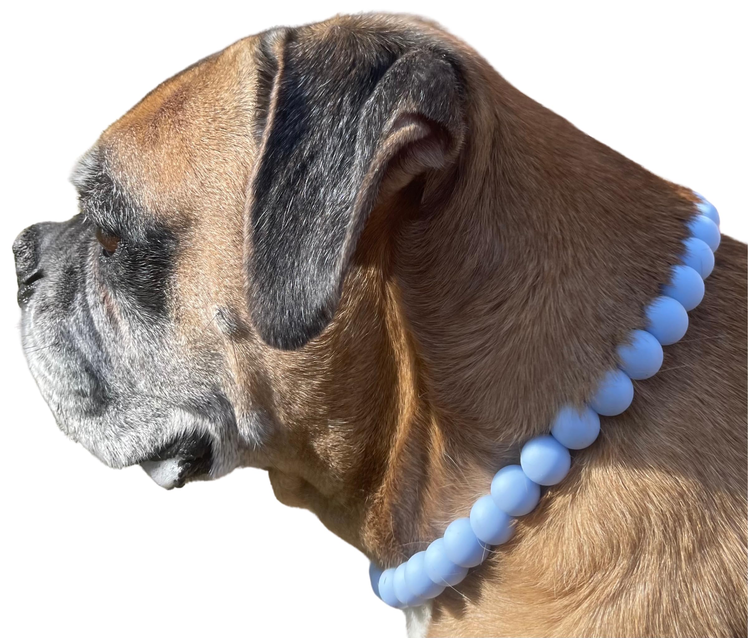 Dog Necklace (Small (15"), Solid, Baby