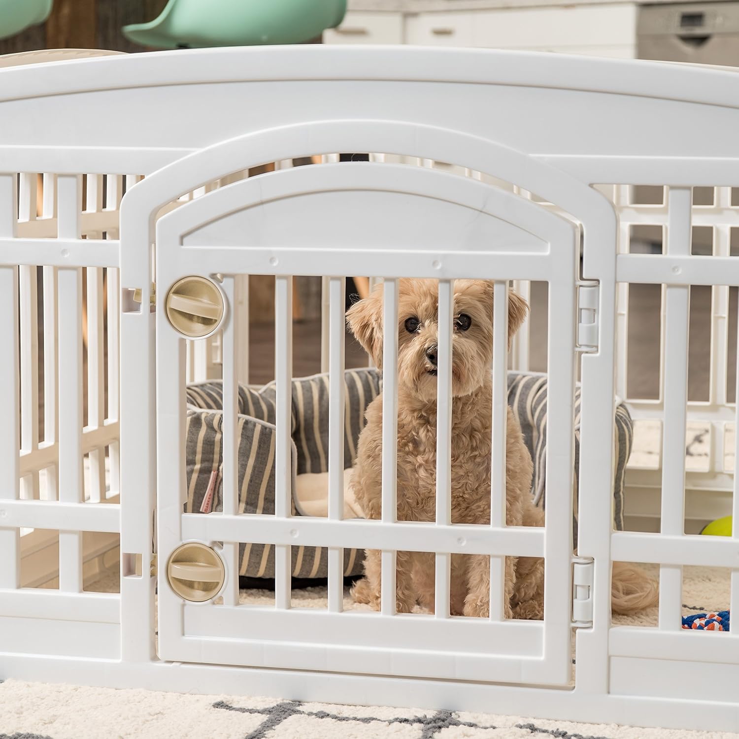 IRIS USA 24'' 4 Panel Exercise Pet Playpen with Door, White Cl-604E (586680) : Pet Supplies