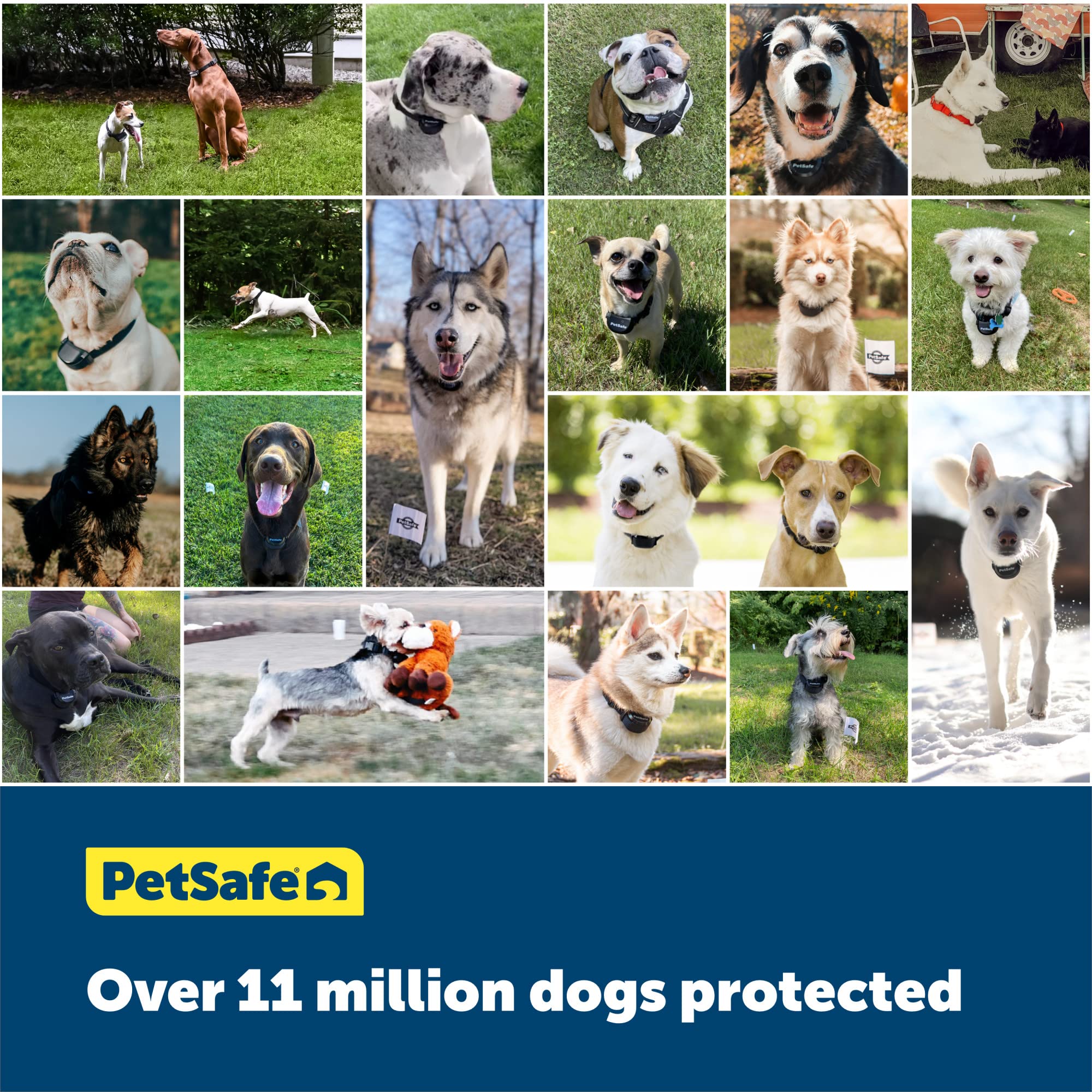 PetSafe YardMax Dog Fence Collar, Electric Dog Containment Waterproof Collar, Fits Dogs 5 lb & Up, Adjusts to Fit Neck Sizes 6-28 in, (Black) - from The Parent Company of Invisible Fence Brand