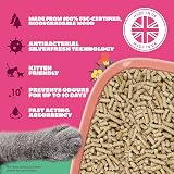 Felight Natural Wood Pellet Cat Litter 10L Non-Clumping UK Made view 2