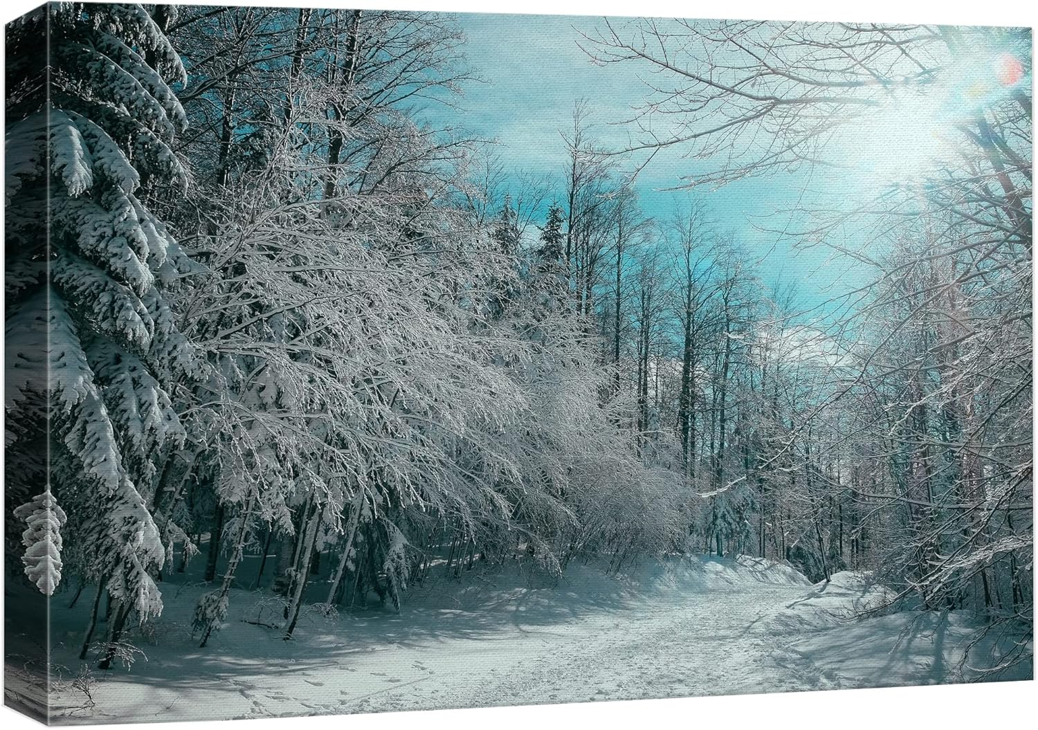 Posters & Prints - wall26 Canvas Print Wall Art Pine Tree Forest Covered in Snow Nature Wilderness Photography Modern Art Rustic Scenic Colorful Multicolor for Living Room, Bedroom, Office - 24