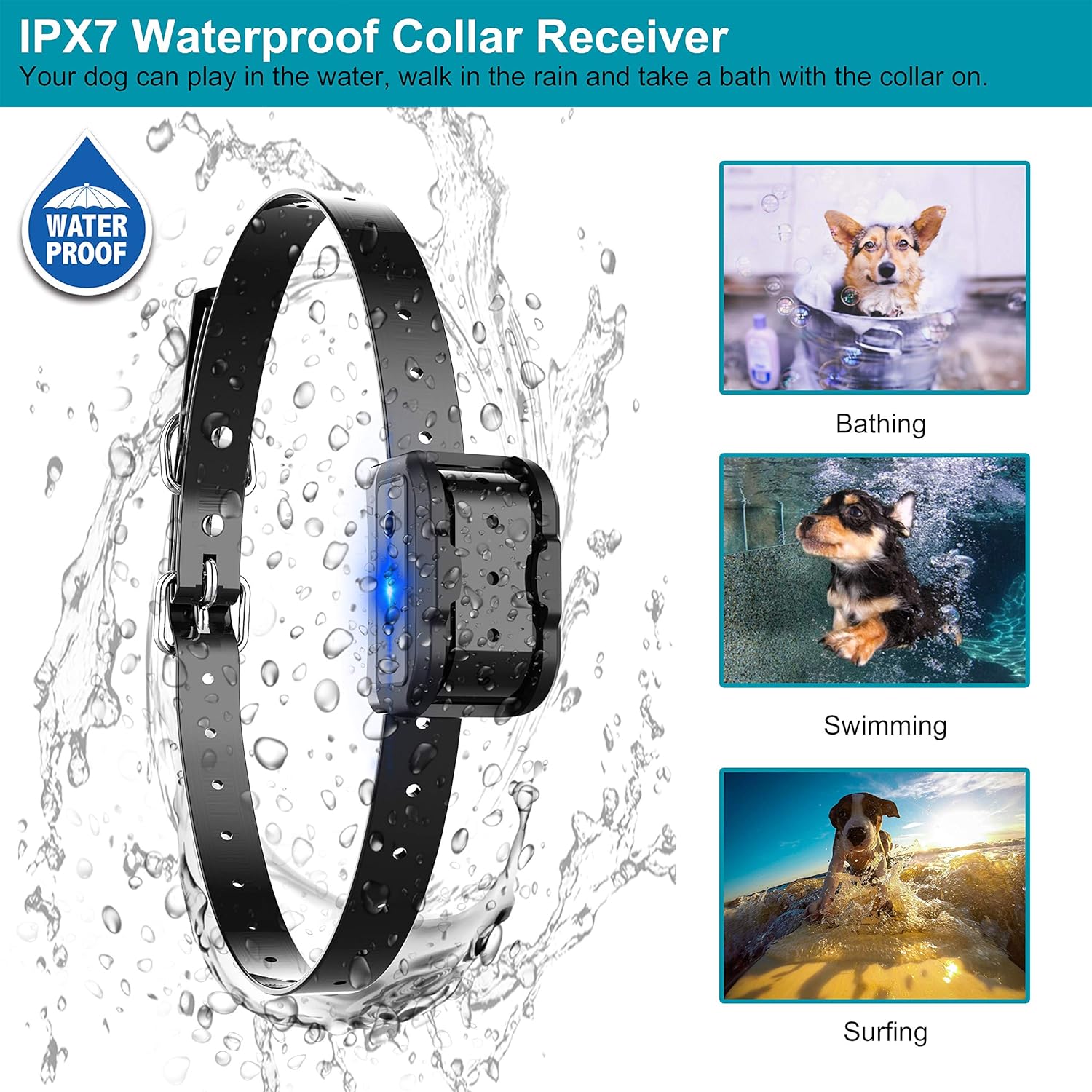 besthing dog training collar