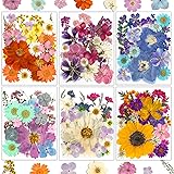 Dried Flowers for Resin, Resiners Dried Flowers for